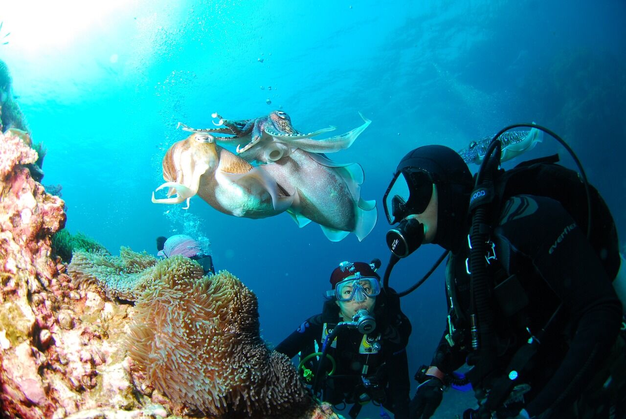 Unveiling the Abyss- Scuba Diving Across Generations